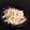 ☆うさみ☆'s cooksnap of when they made ごぼうサラダ.