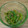 食いしん坊山ガール's cooksnap of when they made さっぱり☆ゴーヤとトマトの中華風おひたし.