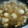 料理作造's cooksnap of when they made 簡単☆里いもと鶏むね肉としらたきの煮物.
