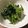kenjingoo's cooksnap of when they made 超簡単★時短レシピ 小松菜のお浸し.