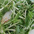 あゆむーちょ's cooksnap of when they made 水菜とカリ×２かまぼこ和え.