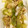 クック3XNCQ0☆'s cooksnap of when they made ☆☆鶏ねぎ塩だれ炒め☆☆.