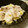 LuvSS's cooksnap of when they made 簡単蒸し白菜.
