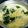 xupoko's cooksnap of when they made ５分でいいじゃん★ふわとろ卵スープ★.