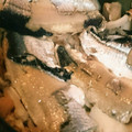 クックMAB152☆'s cooksnap of when they made サンマとキノコの炊き込みご飯.