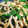 クックQT5VFL☆'s cooksnap of when they made 豚とろとろ青椒肉絲　チンジャオロース.