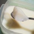 ❀まいねこ❀'s cooksnap of when they made パルスイート使用・ぷるるん牛乳寒天.