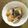 ☆Rokko☆'s cooksnap of when they made 秋の食卓に♪紅芋と柿のサラダ.