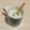 アクセル☆'s cooksnap of when they made ごぼうを飲む？　ごぼうの中華スープ❤.