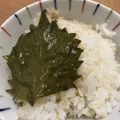 youcay's cooksnap of when they made 魅惑の合法ハーブ ShiSo.