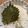 youcay's cooksnap of when they made 魅惑の合法ハーブ ShiSo.