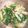 mu14578's cooksnap of when they made しろ菜とベーコンの煮びたし.