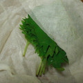 タマトロ's cooksnap of when they made 我が家の【大葉】の保存方法♪.