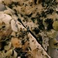 Rushida1's cooksnap of when they made Leeシェフの本格チキンフィレ(鶏胸肉).