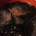 肉じゃがマヨネーズ's cooksnap of when they made 春雨とわかめのスープ.