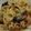 クックGFY8CA☆'s cooksnap of when they made たっぷりきのこのクリームパスタ！.