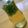 サオリ's cooksnap of when they made とうがらし酢.