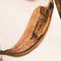 くるママ☆'s cooksnap of when they made グリルでサンマの塩焼き.