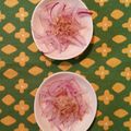 リーサの庭's cooksnap of when they made 紫玉ねぎのポン酢かけサラダ.