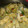 こぶたちゃんGOGO's cooksnap of when they made 牡蠣とキノコのアヒージョ.