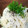 とも＆りんりんママ's cooksnap of when they made イカとエノキのゆかりマヨ和え.