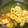 ROMI_0920's cooksnap of when they made ✿我が家の生姜焼き✿.