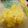 ヘラクレスオオカブト's cooksnap of when they made 野菜のバター蒸し✿コンソメマヨ和え.