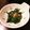 こーちゃん｡'s cooksnap of when they made モロヘイヤのお浸し～柚子胡椒風味～.