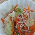 あゆむーちょ's cooksnap of when they made キャベツ人参しらすのだしポン和え☆.