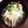 yukaaa＊°'s cooksnap of when they made サッとできる！あんかけキノコ豆腐.