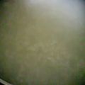 piyo11's cooksnap of when they made ご飯から作る☆おかゆの種類.