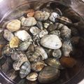 ちょ〜☆'s cooksnap of when they made あさりの下準備.