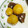 ちゃそあき☆'s cooksnap of when they made 里芋の煮っ転がし.