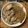 クック8N4RMO☆'s cooksnap of when they made 豚肉で簡単すき焼き♪.