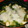 さーちゃんちゃん's cooksnap of when they made たっぷり野菜のみぞれ鍋☆.