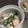 クックYHKEN1☆'s cooksnap of when they made 柿とほうれん草のクリームチーズサラダ.