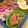 こはる・▽・'s cooksnap of when they made 栄養士直伝！簡単にんじんの粉チーズあえ♪.