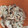 クック6CAS26☆'s cooksnap of when they made ささみの梅しそ和え.