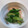 クックGDANQC☆'s cooksnap of when they made 簡単✨きゅうりの浅漬け.