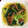 momo_ha's cooksnap of when they made 簡単！白菜と なめこの 中華スープ.