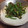 さよちゃま's cooksnap of when they made ピーマンのさっと炒め♪.