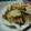ジニー's cooksnap of when they made 殻付きホタテのしょう油バター焼き.