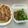 ☆ありか358☆'s cooksnap of when they made もう一品！ピーマンしかない時に！和え物.