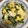 alohana629's cooksnap of when they made にら、もやしの炒め物.