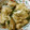 低カロ探検隊's cooksnap of when they made 油麸と春菊の簡単すぎる煮物.