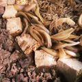 チコ☆ヨコ's cooksnap of when they made 甘くなりすぎない我が家のすき焼き 割り下.