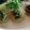 楽ちん楽ちん's cooksnap of when they made ダイエット大根ステーキ.