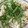ばもん's cooksnap of when they made おかずいらずのさんまごはん(さよりめし).
