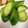kinako10's cooksnap of when they made きゅうりの浅漬け.