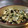クックJSLNS4☆'s cooksnap of when they made 白和え.